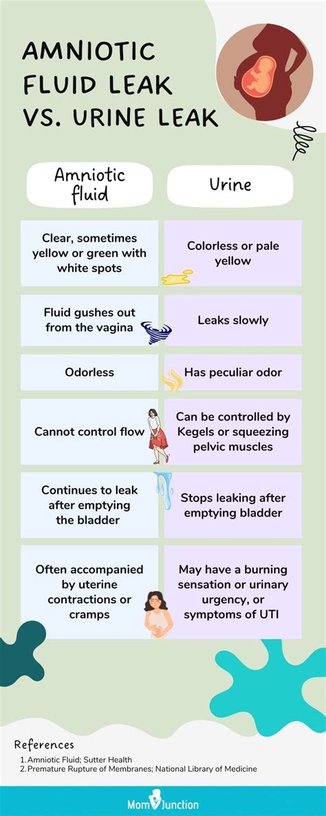 Signs of Leaking Amniotic Fluid vs. Discharge (& What to Do)